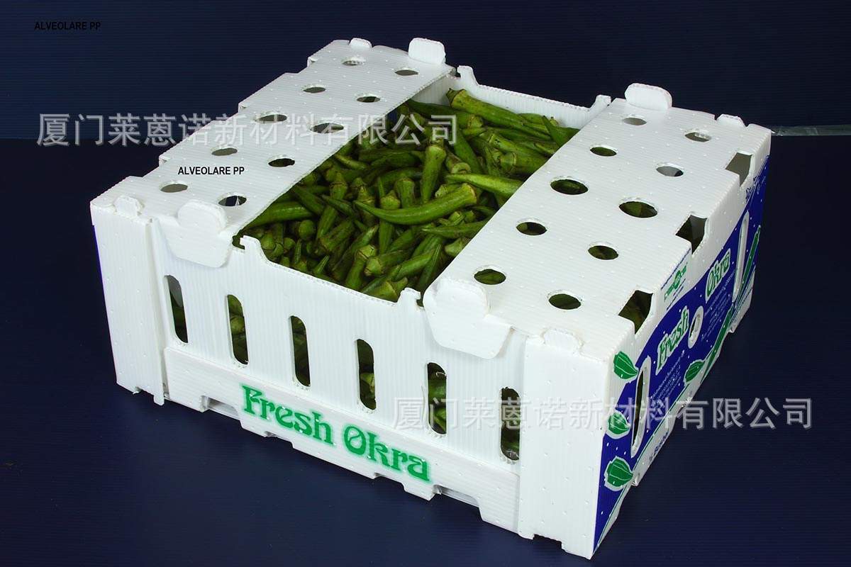 Caja de frutas y verduras de placa hueca pp personalizada plegable impermeable frutas y verduras frescas de transporte de cadena de frío Caja de plástico de calcio image 8