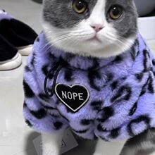 ���ȿɐ�؈���·����y��ɫ����ӽq�Ӻ�ů�{؈���ﱳ�ķ��b���l