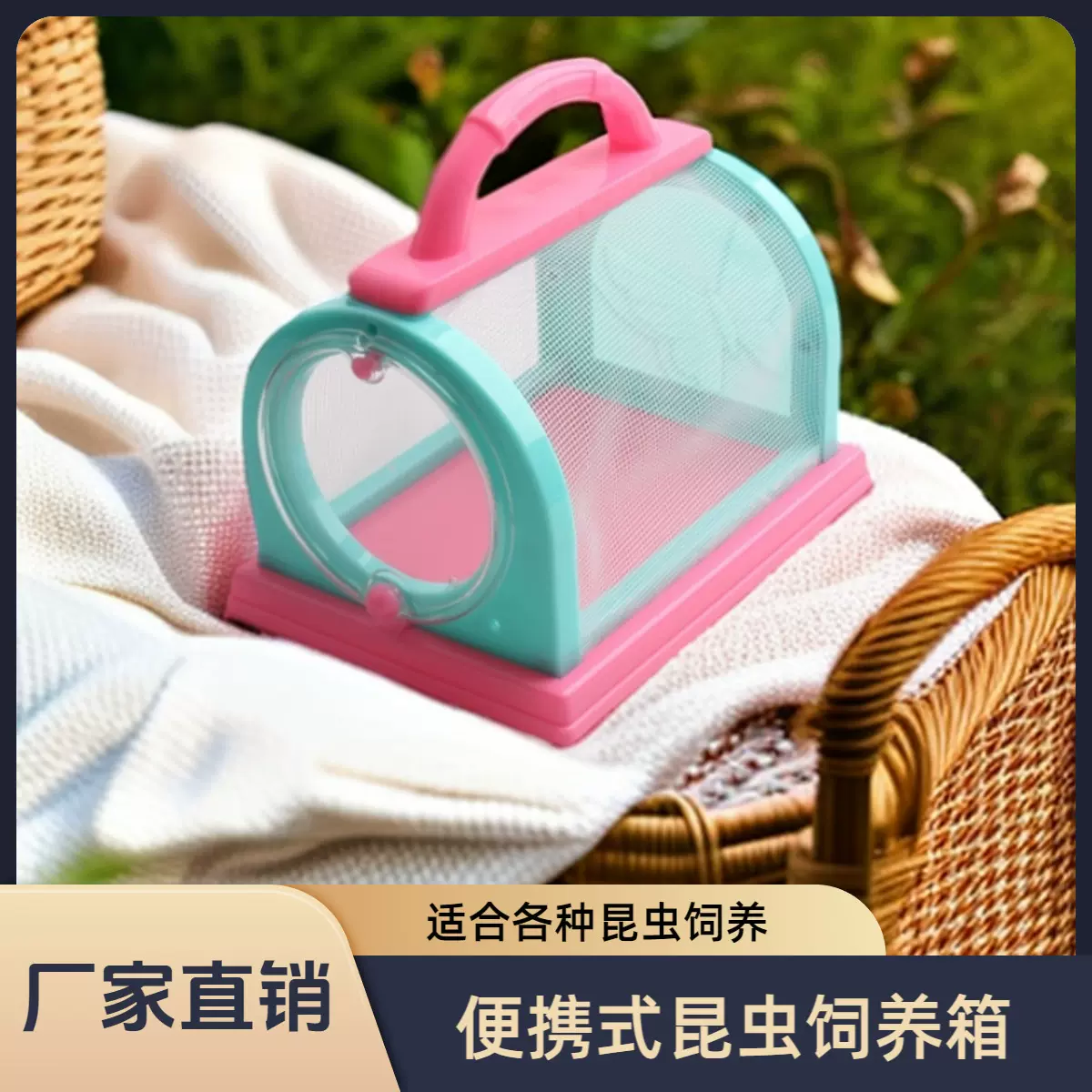 昆虫观察笼儿童户外探索昆虫小动物收集器便携捕捉工具采集箱