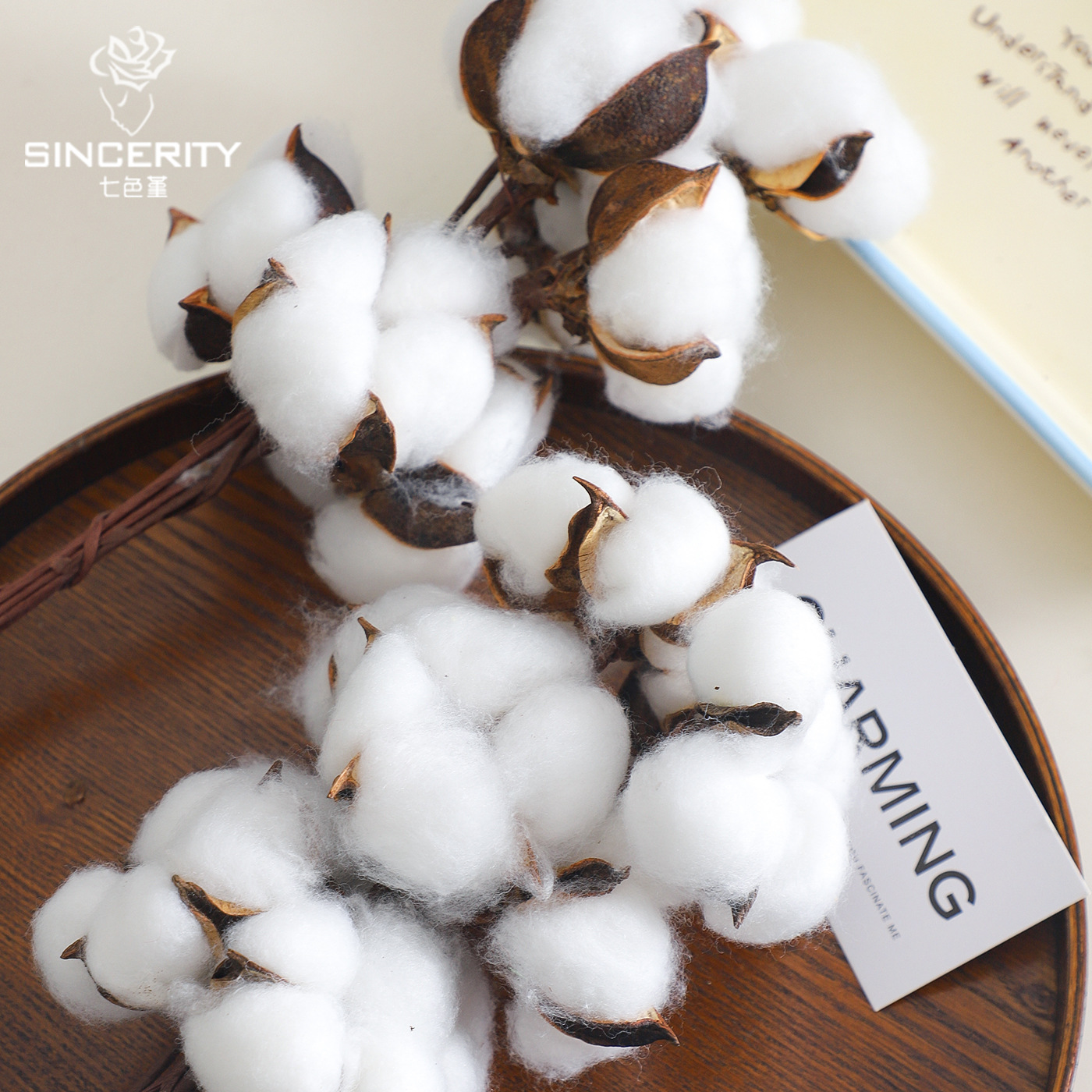 Navidad ins caparazón de algodón natural con varilla flor seca flor artística DIY accesorios ramo florista material de decoración