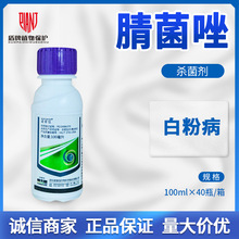 诺普信腈菌唑小麦白粉病锈病月季葡萄黑星病玉米褐斑病杀菌剂农药