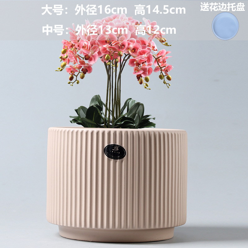 Athens cream yellow (with plastic tray)