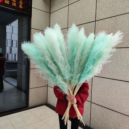 Wholesale ins pink dried flowers large reed eternal flower pampas grass bouquet living room decoration ornaments Mother's Day gift