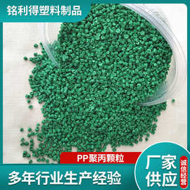 PP 绿色聚丙颗粒 再生塑料颗粒  厂家生产注塑颗粒 PP聚丙造粒料