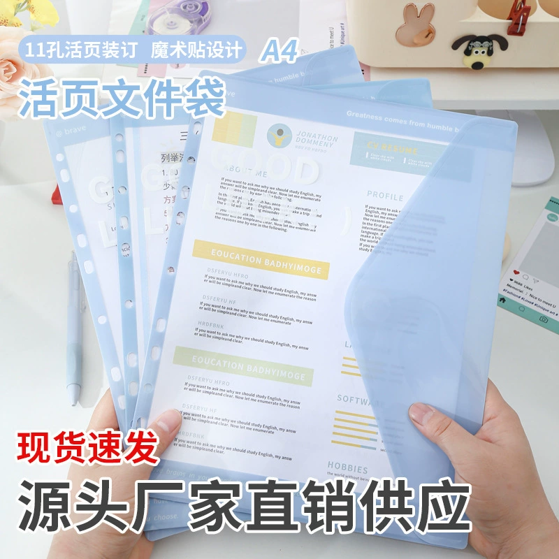 Folder, storage bag for students for folders, tear-off sheet