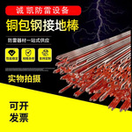 防雷接地针铜包钢接地棒配件接地极镀铜棒电铸铜防雷专用定制