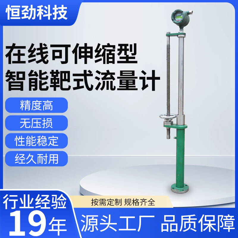 厂家直供在线可伸缩型智能靶式流量计高粘度高温防腐管道流量计