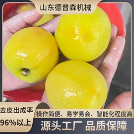 休闲食品加工;果蔬加工设备