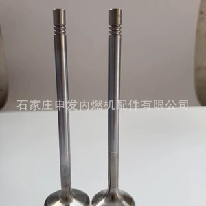 In-stock supply of Shangchai (SDEC) MAN 11 intake valve 51041010695 and exhaust valve 51041010546