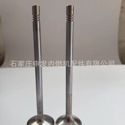 In-stock supply of Shangchai (SDEC) MAN 11 intake valve 51041010695 and exhaust valve 51041010546