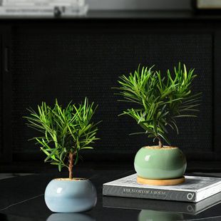 �_�h���Ϙ������k��������ȩֲ��P���k�����҃Ȼ����辰�Gֲ����