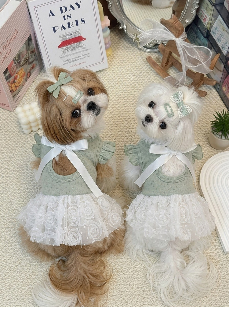 Vestido para cão estilo coreano roupa de princesa doce pet_voghion.com
