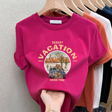 �����������t��Ů2026�W؛�¿��ļ��͹Ÿ�ζchicС���OӋ������