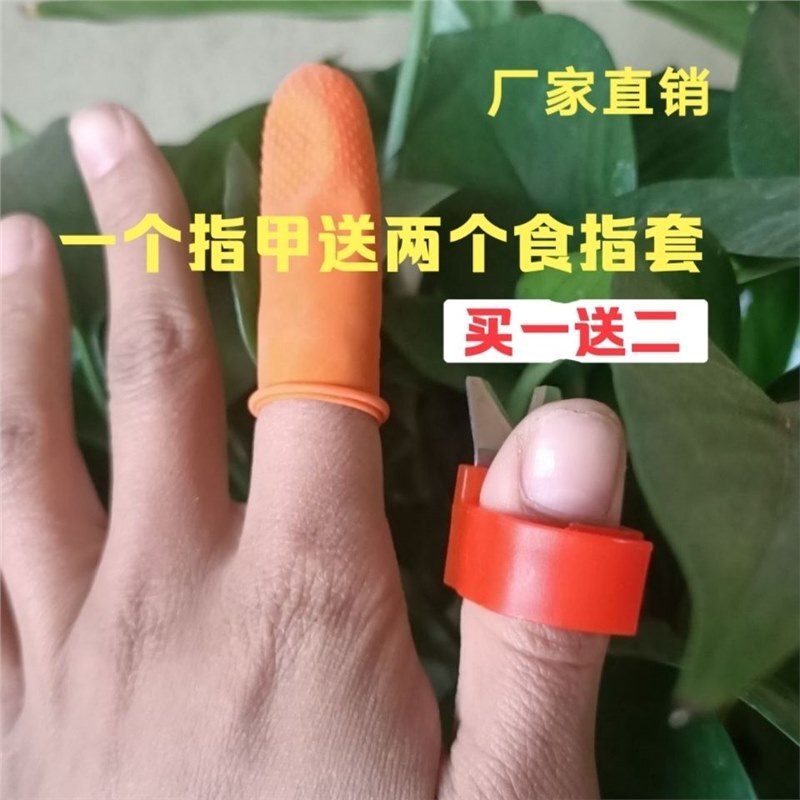 Bean Picking Tool for Vegetable Greenhouses, Bean Picking Iron Nails, Stainless Steel Nail Sets, Iron Rings, Cherry Picking