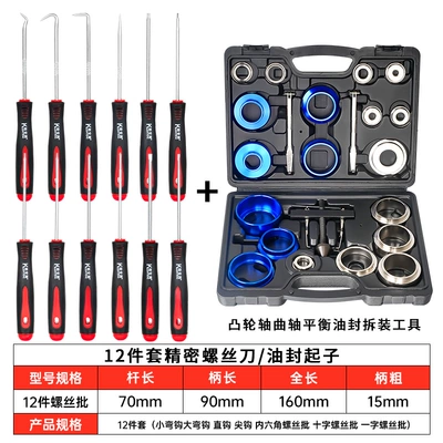 Crankshaft Oil Seal Removal and Mühərrik alətləri - crankshaft-camshaft-oil-seal-tool-12-piece-oil-seal-hook-set