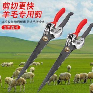 ��ë���քӲ��P䓄������Ƥ�����ë���๦��ţ��ë�ü������l