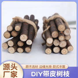 DIY带皮树枝天然干枯树枝创意装饰摆件幼儿园手工布置树枝材料
