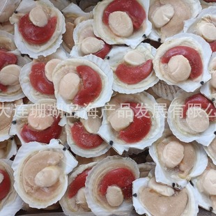 �뚤ؐ���뚤�r��ؐ����ؐ