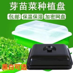�Ӵ�ѿ�������N��ˮ��Nֲ�߲��㶹��Ӻ�ѿ�P�o���҃ȼ���
