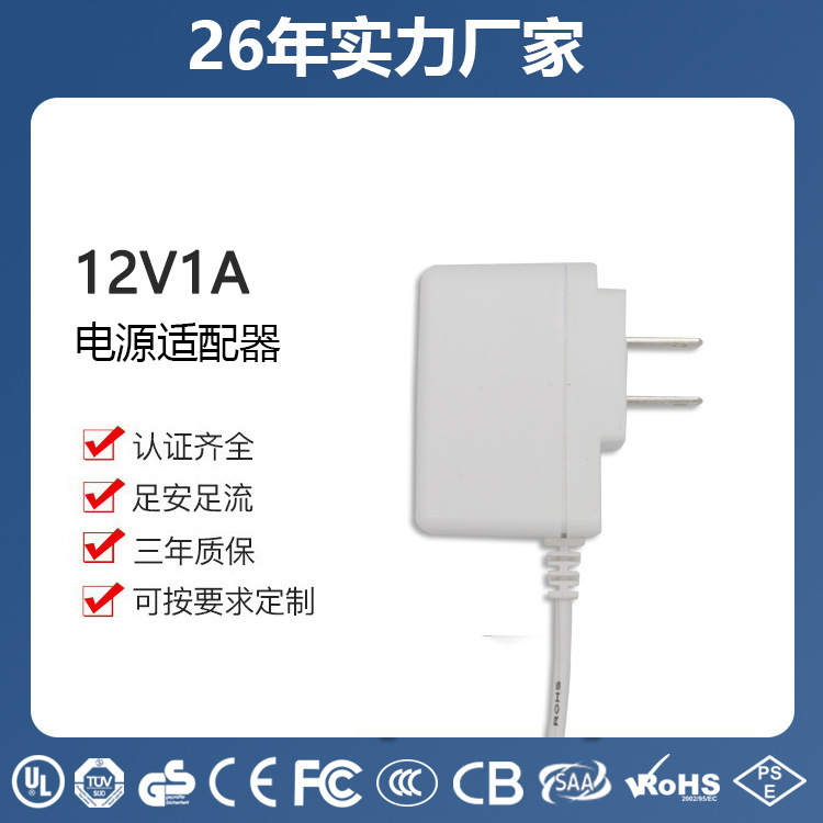 Switching power adapter side plug constant voltage constant current 12V1A ETL1310 12W high P