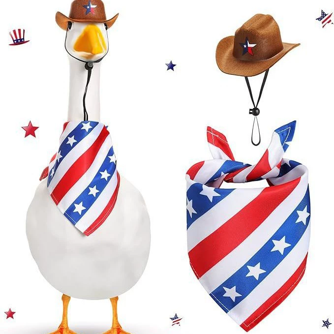 День независимости США Крыльцо гусиный костюм мексиканская соломенная шляпа полосатый треугольный шарф костюм большой белый гусь перед украшением