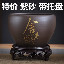 ��ɰ���莧�бP����͸������m�m������ߘ��͹����Դ�̖��ڏ���