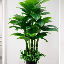 ֲ��Gֲ�[���lؔ�����ϻ��͏d���Դ��~�^���ٻ��҃Ȕ[������