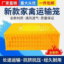 运输鸡笼加厚成鸡周转箱特大周转筐鸭鹅鸽子笼鸡笼子家用养殖笼子