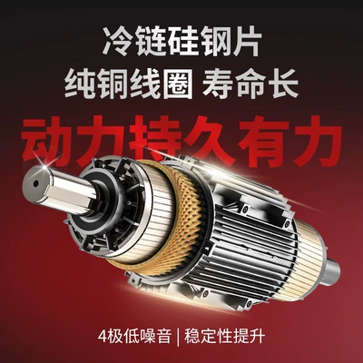 Black Cat Zige Pressure Car: Car washing machine