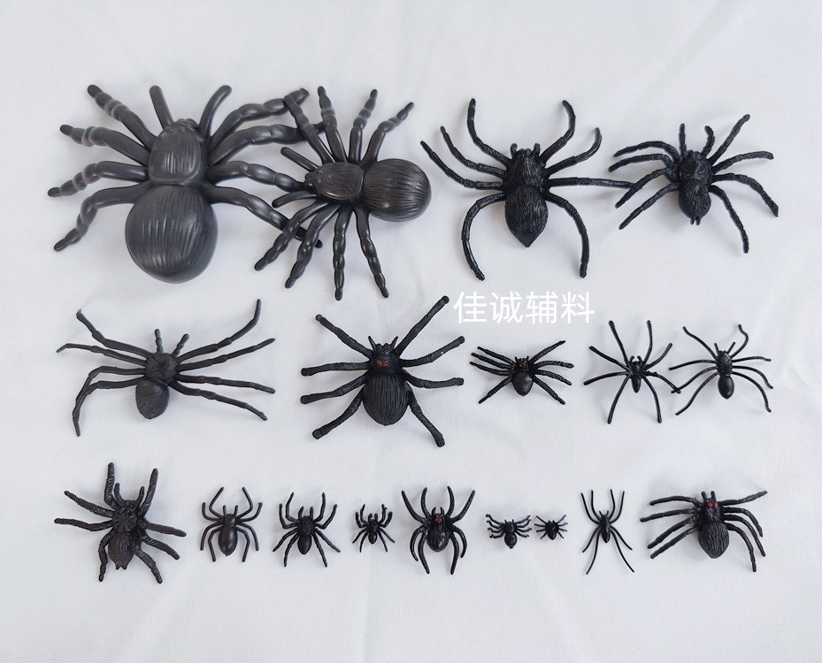蜘蛛全.jpg