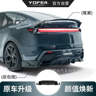 Big Surrounded Longyan Pro Small Body Kit
