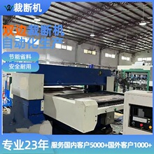 厂家直销精密四柱双边自动送料冲床珍珠棉泡EVA棉裁断机
