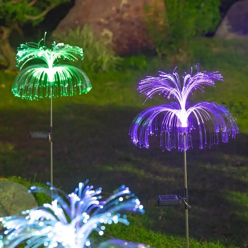 IMG_7110(20230225-215816)