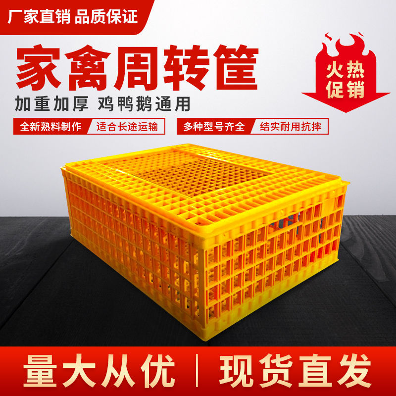 鸡笼塑料家禽运输鸡笼子周转箱大号加厚鸡鸭鹅鸽兔运输方形笼子批