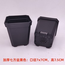 ���⻨��Ӻ��߷���ɫ�������l