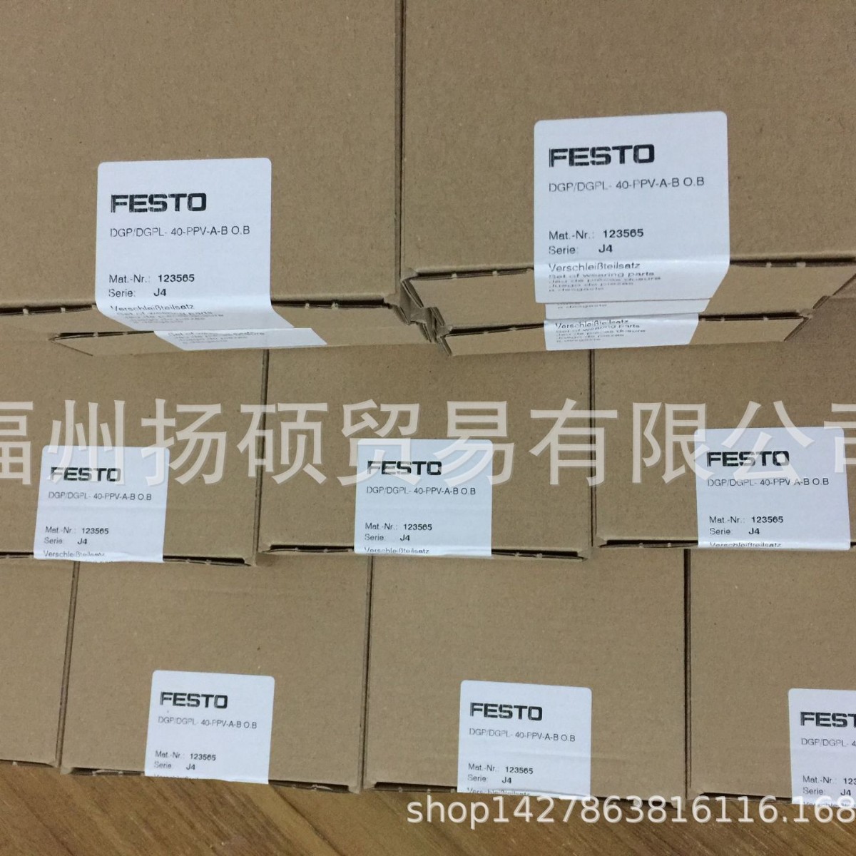 费斯托 FESTO 全新原装正品	DNC-100-PPV-A	维修包	369200 现货