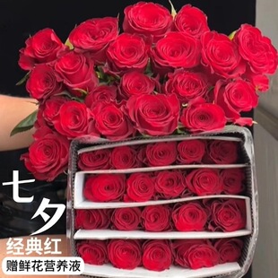 �tõ���r���r�л���ԭ�tõ�廨�����������ֱ�l���l�滨�����Y��