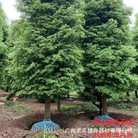 组合健身用品;其他健身器材;哑铃