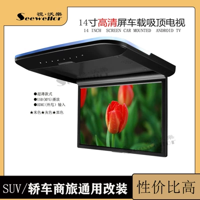 14-inch roof TV display Car display