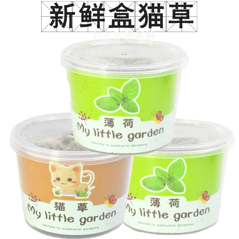 Тупей кошка Трава кошка мех мяч кошачья мята новая кошка Трава пластиковая коробка кошачья мята