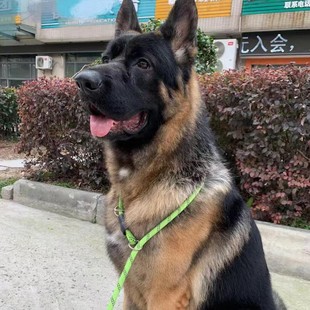 ���N�|����Ȯ���w �pѪ�y������Ȯ�o�lȮ����Ȯ����Ȯ����Ȯ