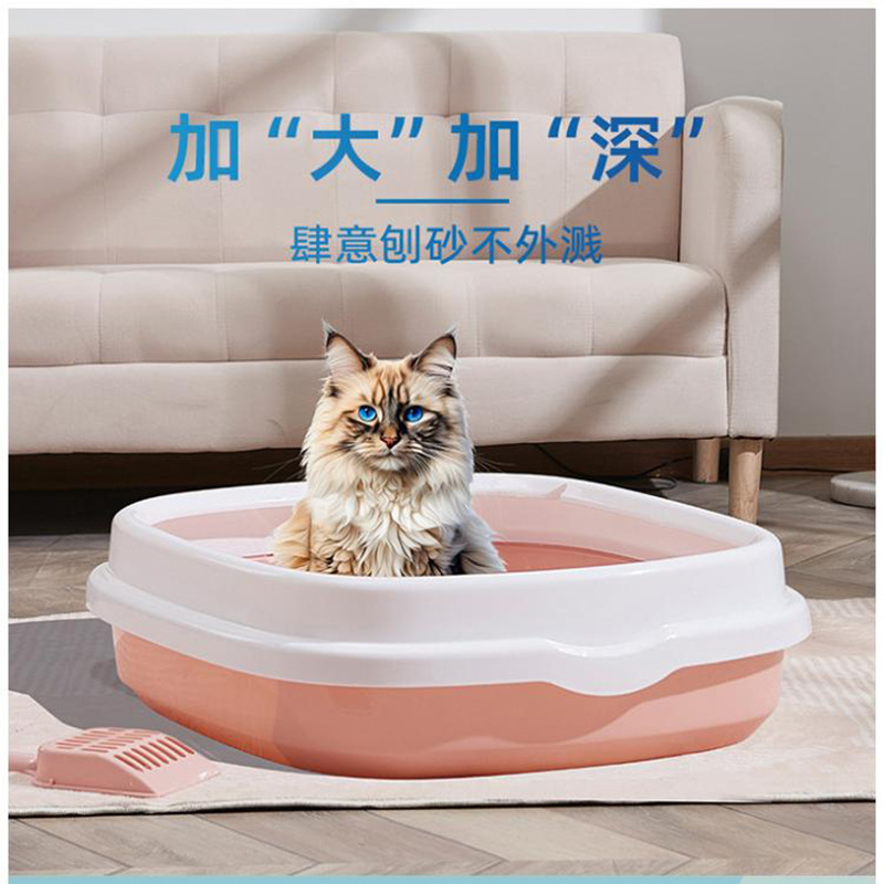 详情_01.jpg
