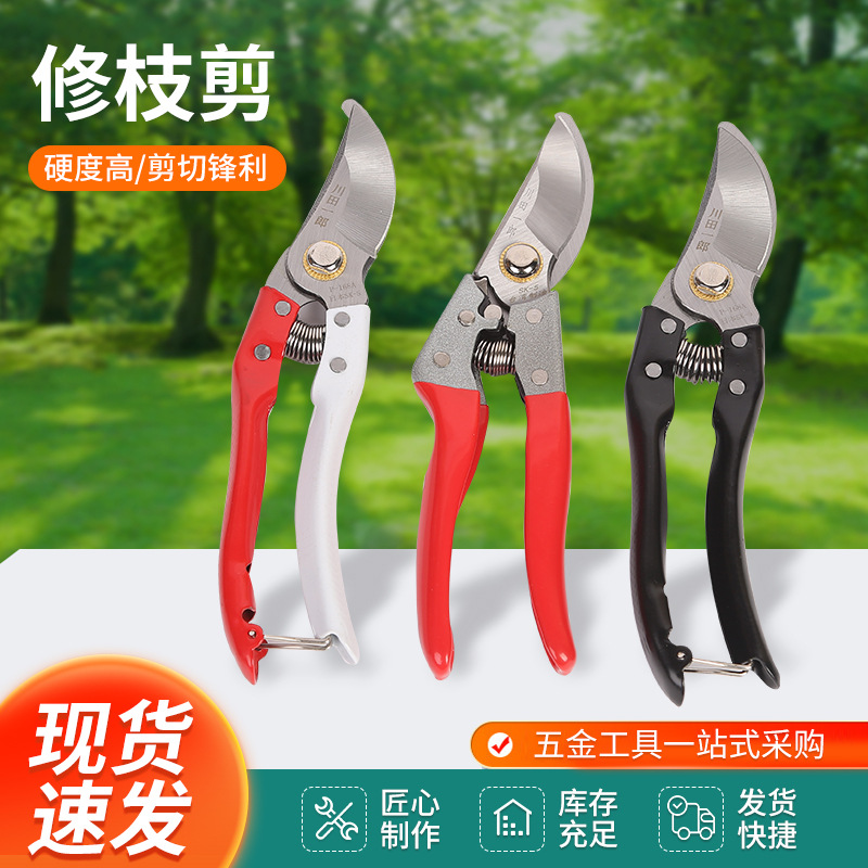 红柄果树修枝剪园林枝剪剪枝剪子花卉花艺修剪树枝整枝剪刀