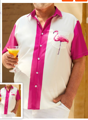 2023 nuevos hombres Hawaii europeo y americano ropa de los hombres impresión 3D del comercio exterior los hombres manga corta floja delgada camisa casual