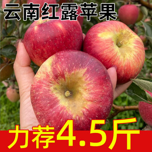 ��ϼt¶�O�����rˮ�������۶�֭��ζԭ�a�ؑ����������ժ�ٰl