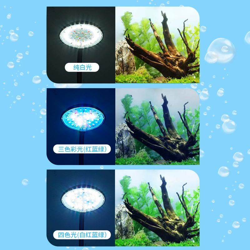Aquarium LED Clip & Screw-Base Lamp, Color-Changing Trichromatic, 5–8W, Dimmable
