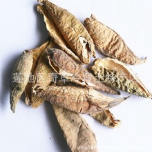 ���ҹ�,���Թ�,���̿�,��ҩ����ˏ��ֲ��ϸҶ��ǰ��ȫ�ݼ���ʵ