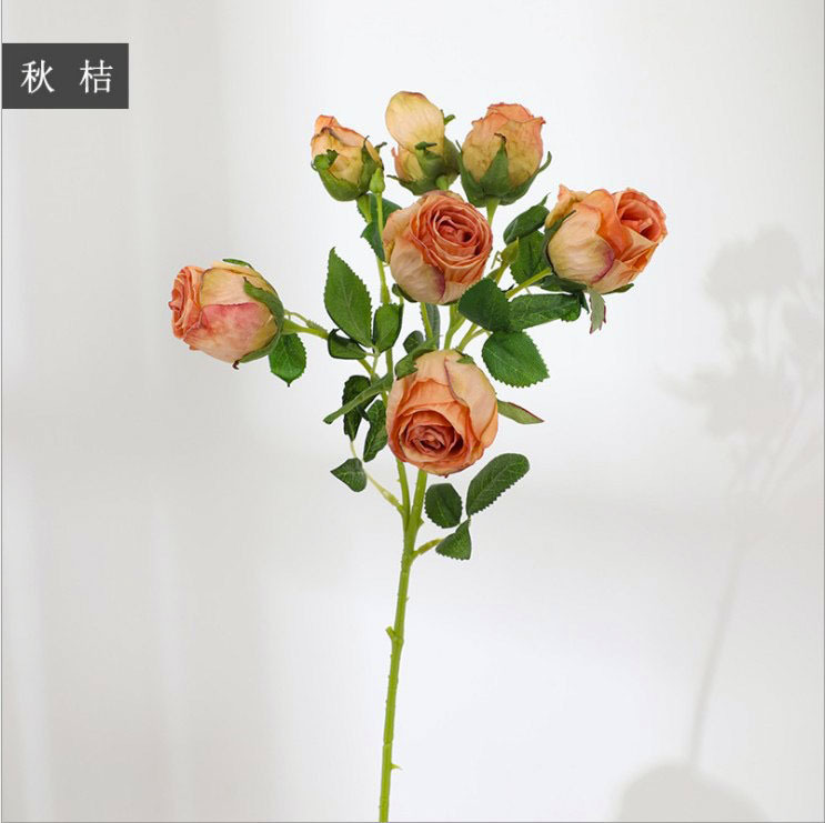 가을 오렌지
