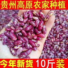 ļļ»Fݶ녶׶»ܿڶ