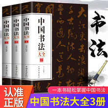 全三册 中国书法大全 从入门到精通学书法颜体石门颂礼器碑曹全碑